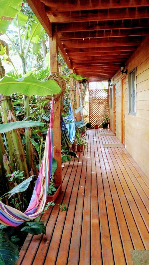 Cabanas Te Maori 앙가로아 외부 사진